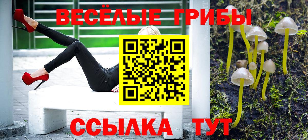 Галлюциногенные грибы мицелий Медногорск
