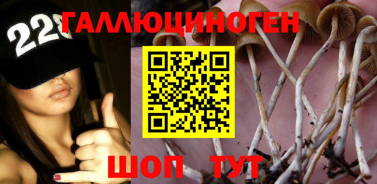 Галлюциногенные грибы Psilocybine cubensis  Вход с VPN  Медногорск  Псилоцибиновые грибы ЛСД 